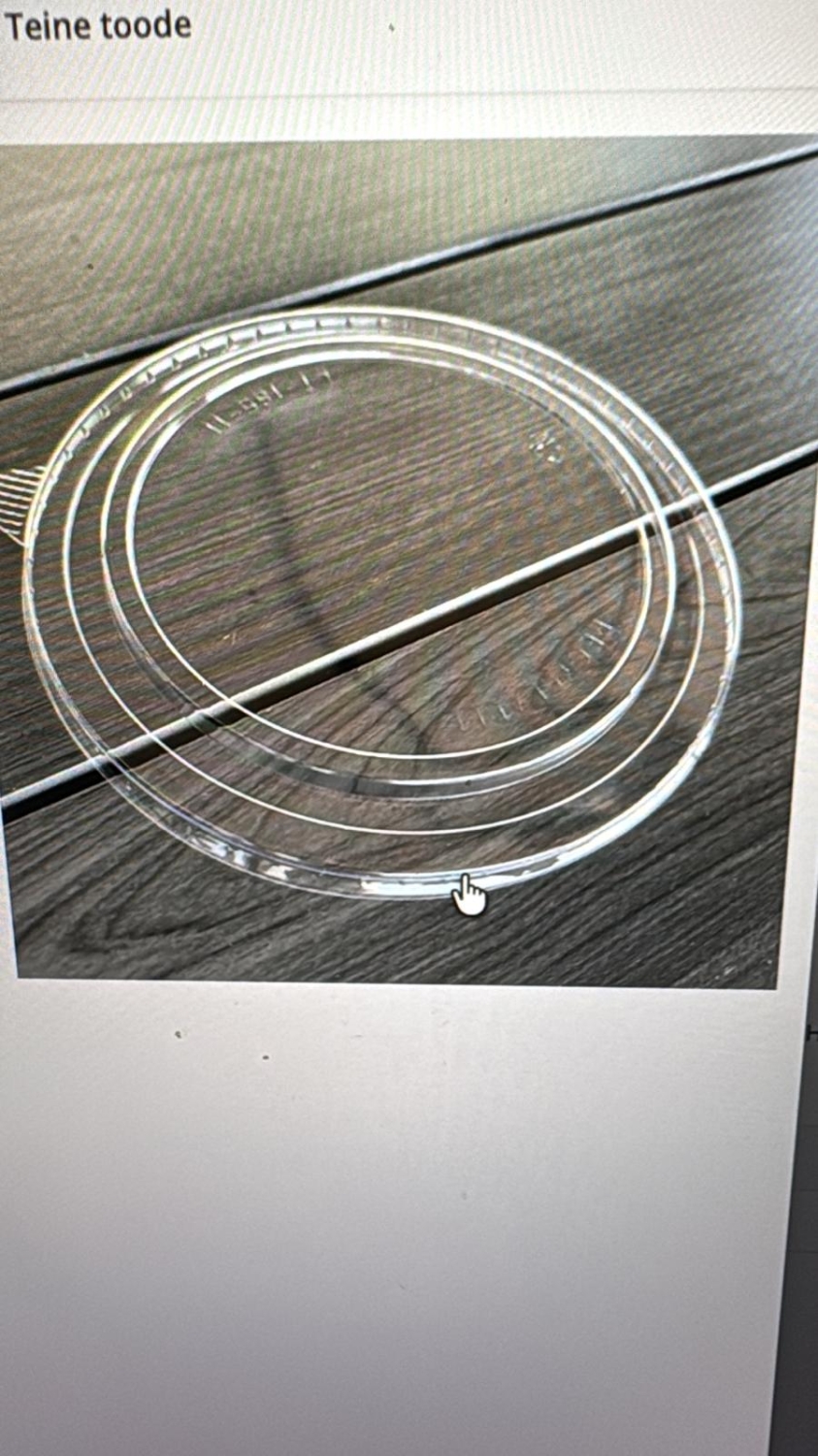 Läbipaistev kaas 750 ml pappkarbile